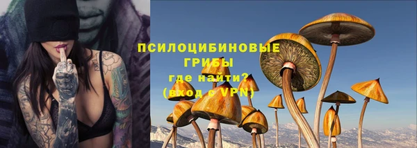 герыч Козельск
