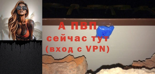 PSILOCYBIN Козловка