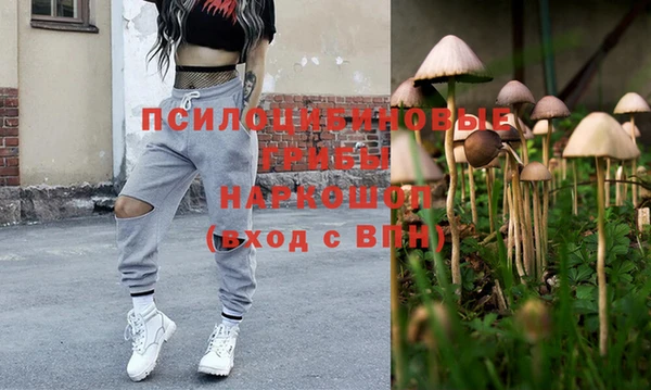 PSILOCYBIN Козловка