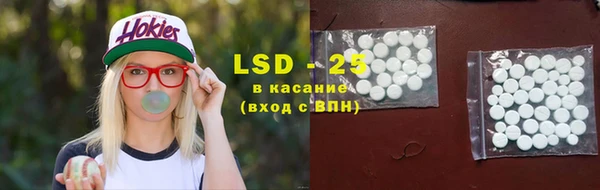 PSILOCYBIN Козловка