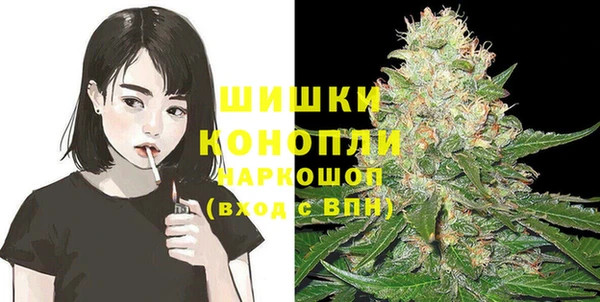 PSILOCYBIN Козловка