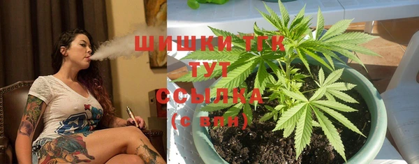 PSILOCYBIN Козловка