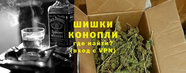 PSILOCYBIN Козловка