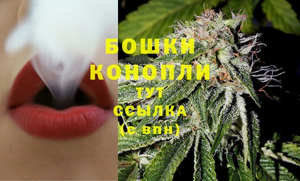 PSILOCYBIN Козловка