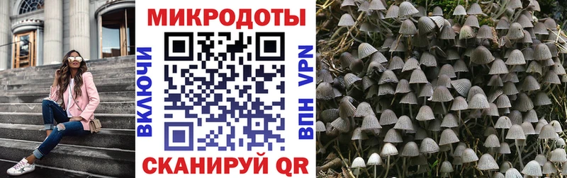 где купить наркоту  Котельнич  Галлюциногенные грибы MAGIC MUSHROOMS 